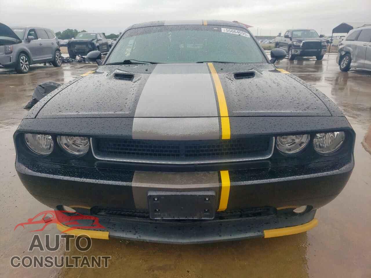 DODGE CHALLENGER 2014 - 2C3CDYAG1EH100403