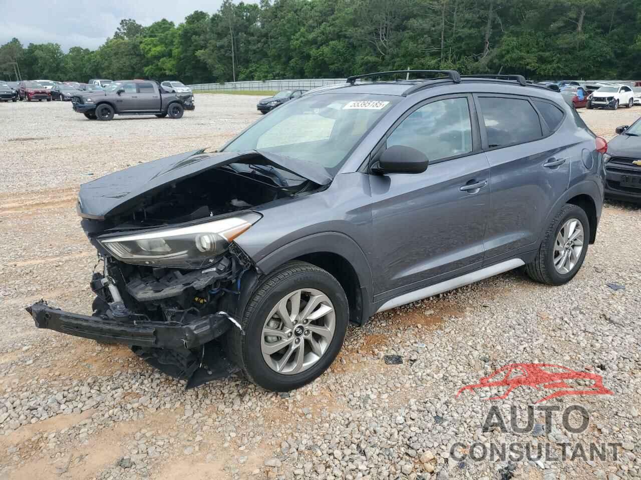 HYUNDAI TUCSON 2017 - KM8J33A48HU518582