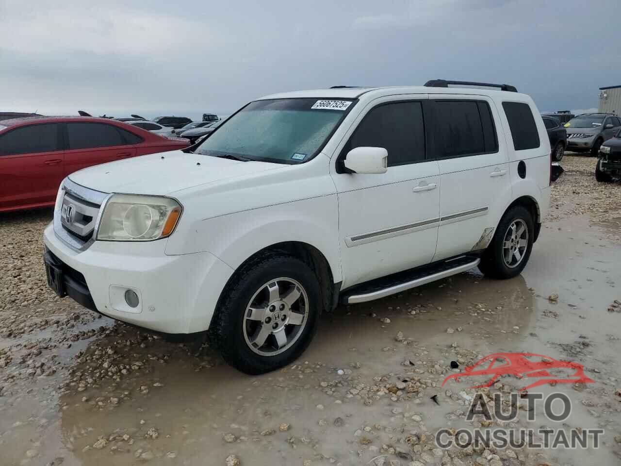 HONDA PILOT 2010 - 5FNYF3H80AB016618