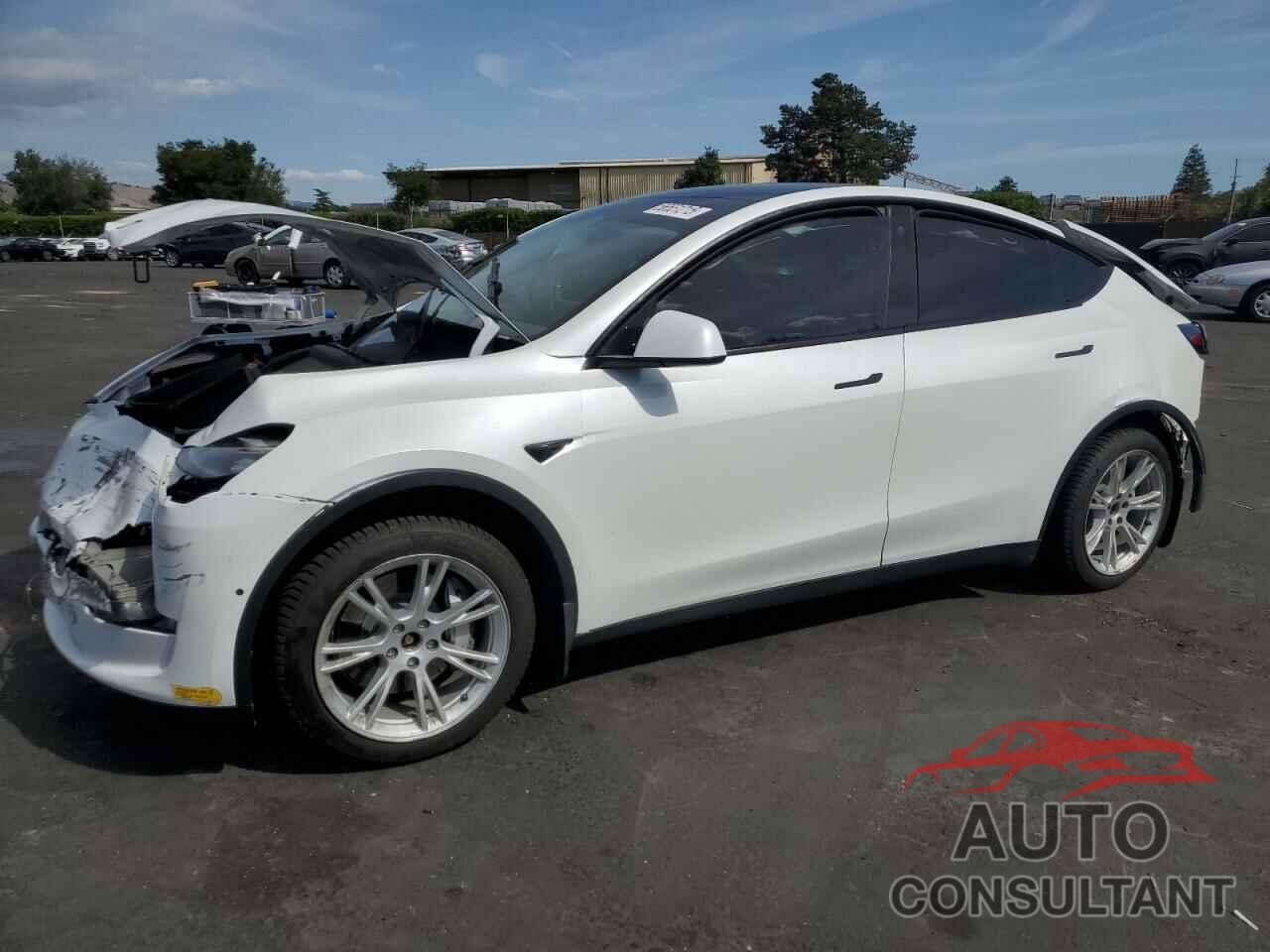 TESLA MODEL Y 2022 - 7SAYGDEE4NF449168