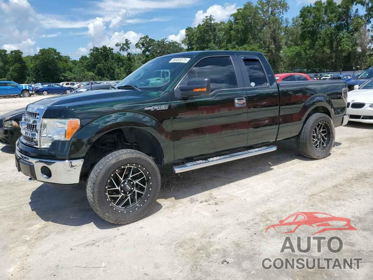FORD F-150 2013 - 1FTFX1EF3DKG38133