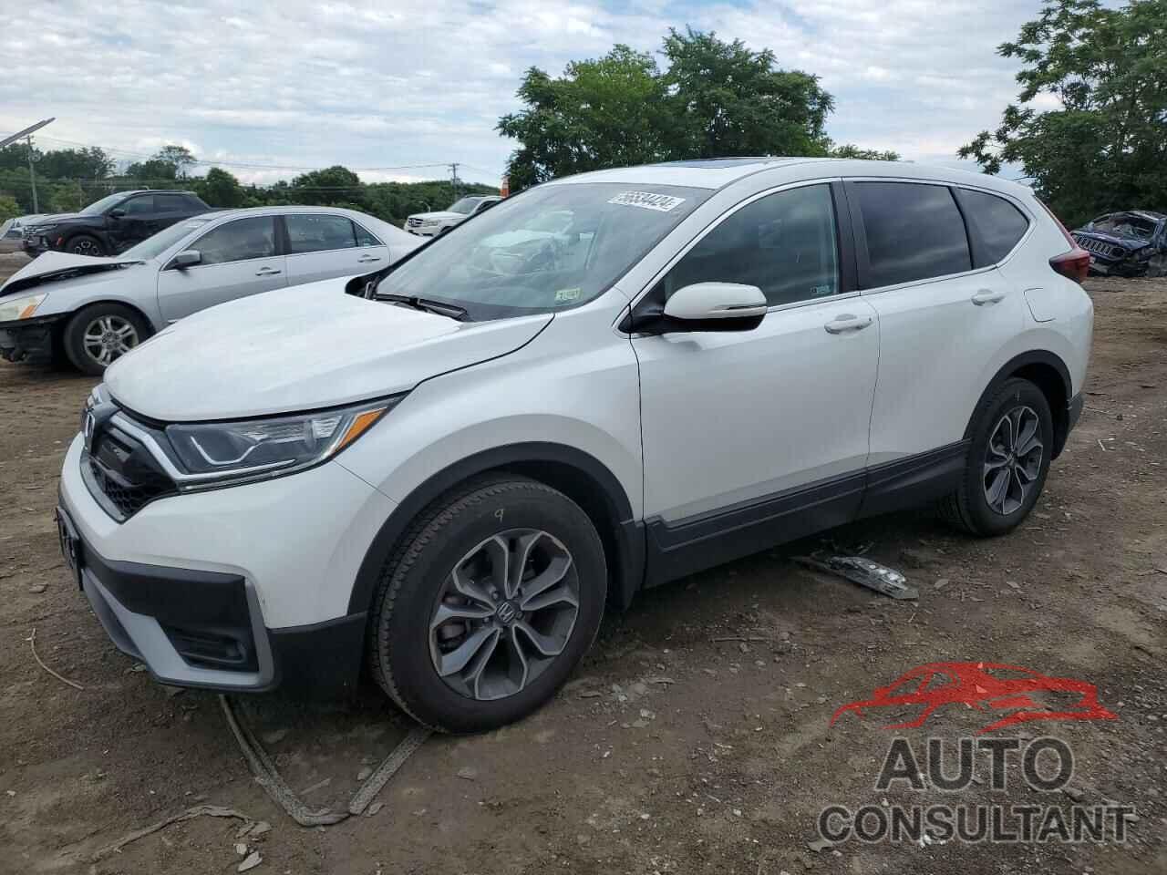 HONDA CRV 2022 - 5J6RW2H51NA015927