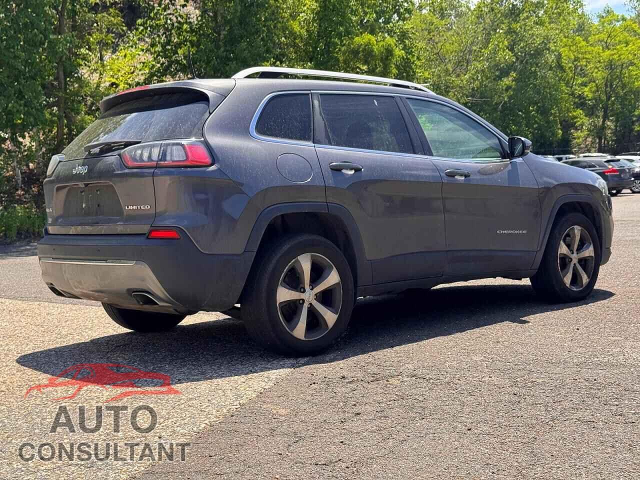 JEEP CHEROKEE 2019 - 1C4PJMDX4KD118316