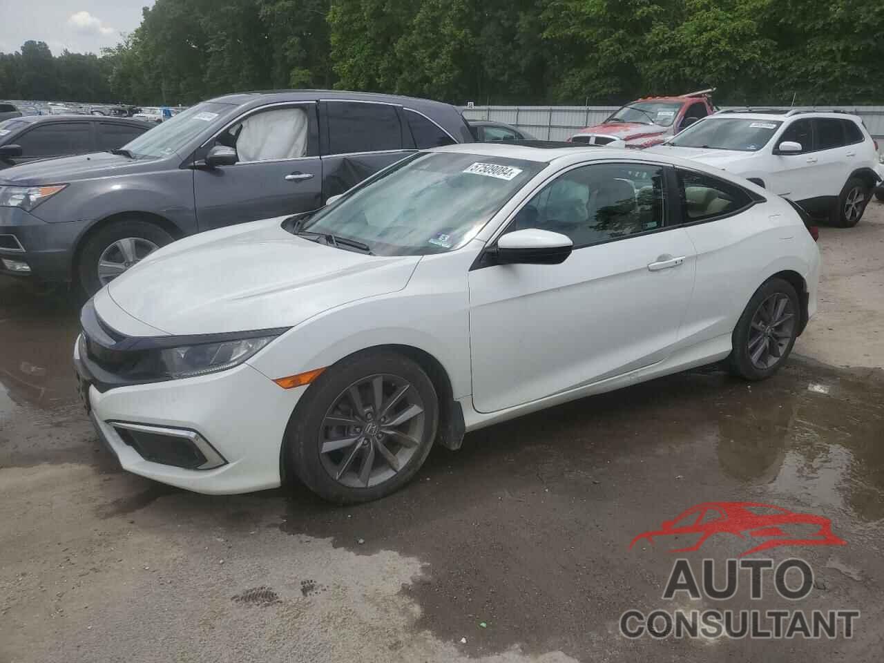 HONDA CIVIC 2019 - 2HGFC3B35KH353201