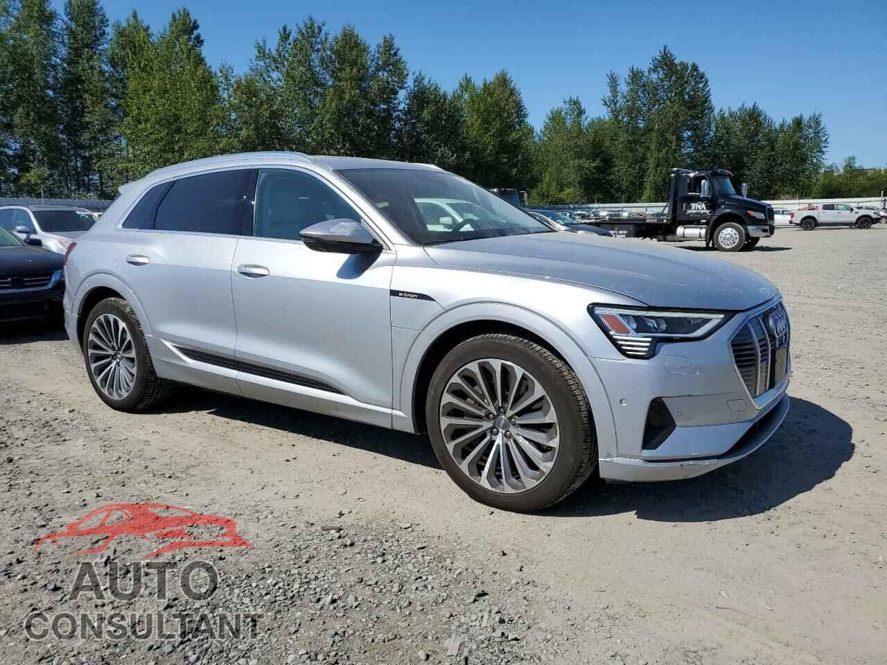 AUDI E-TRON 2019 - WA1VAAGE5KB012530