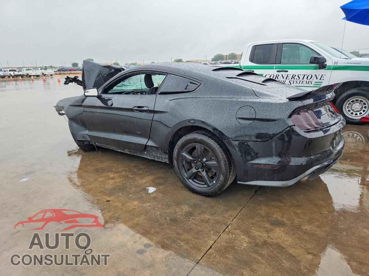 FORD MUSTANG 2019 - 1FA6P8THXK5178189