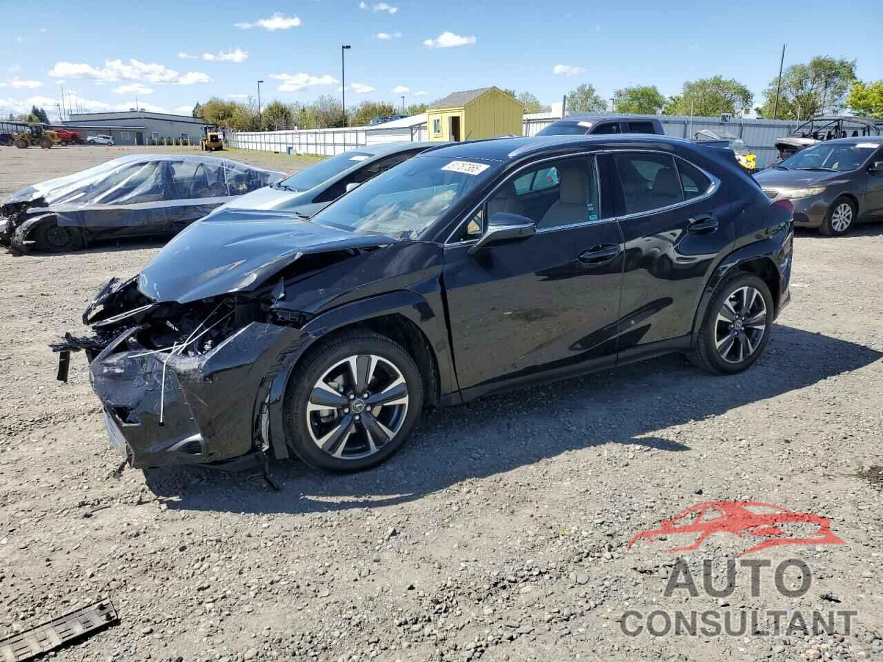 LEXUS UX 250H PR 2024 - JTHP6JBH7R2190501