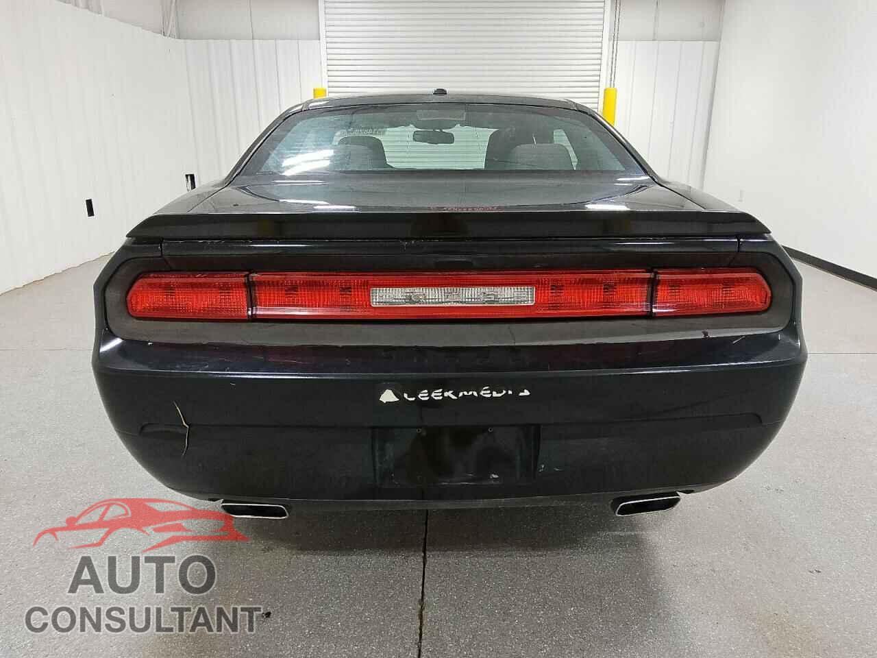 DODGE CHALLENGER 2013 - 2C3CDYAG5DH650976