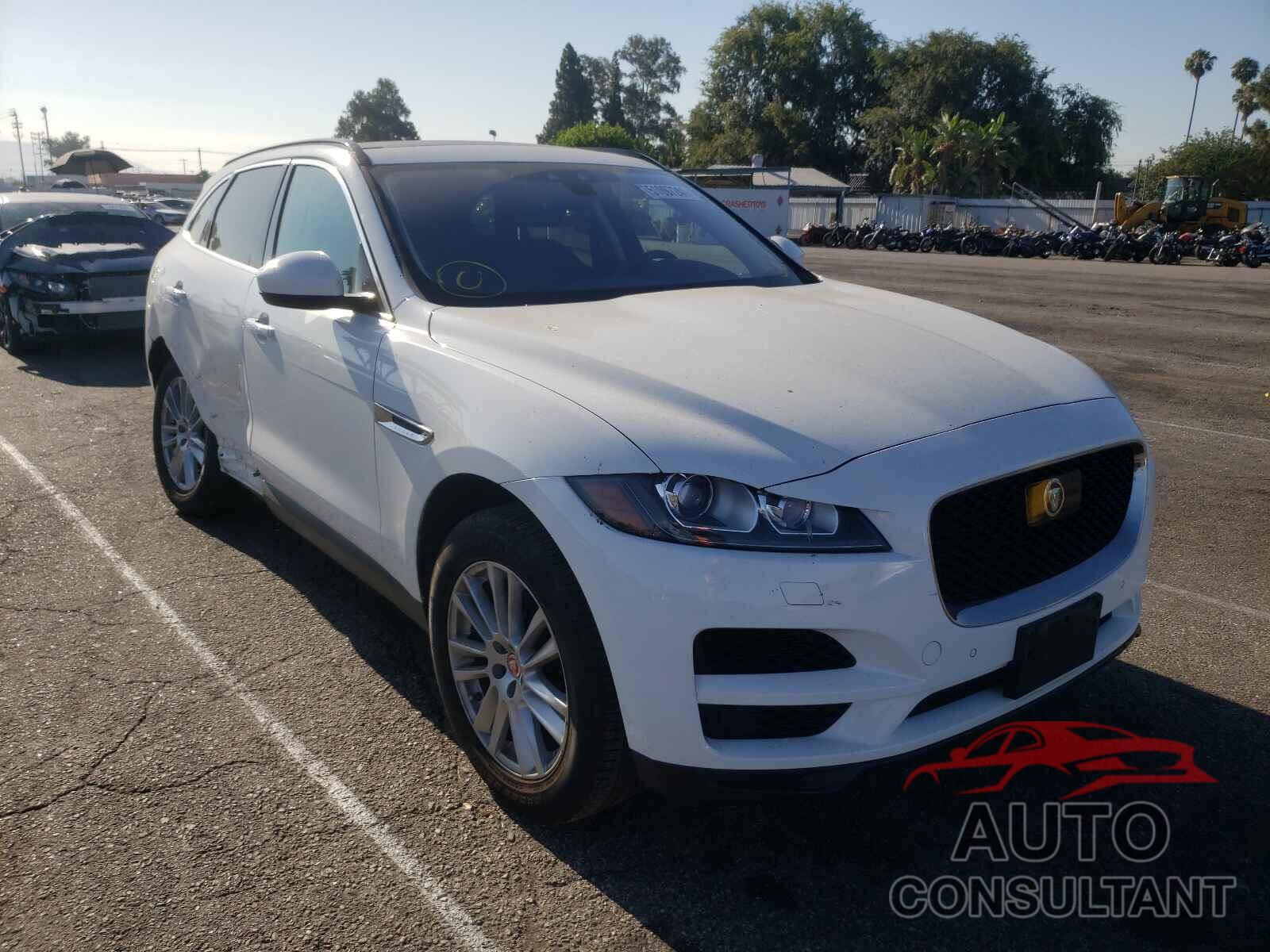 JAGUAR F-PACE 2019 - SADCK2FX5KA601185