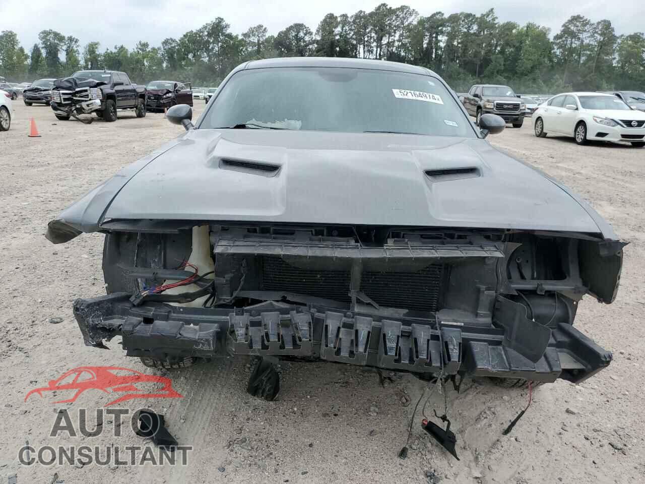 DODGE CHALLENGER 2019 - 2C3CDZAG9KH625081
