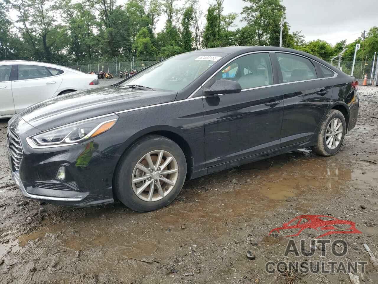 HYUNDAI SONATA 2019 - 5NPE24AF3KH817852