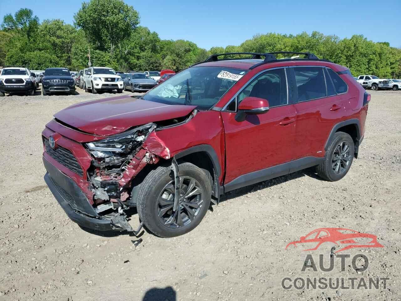 TOYOTA RAV4 2024 - 4T3B6RFV0RU141593