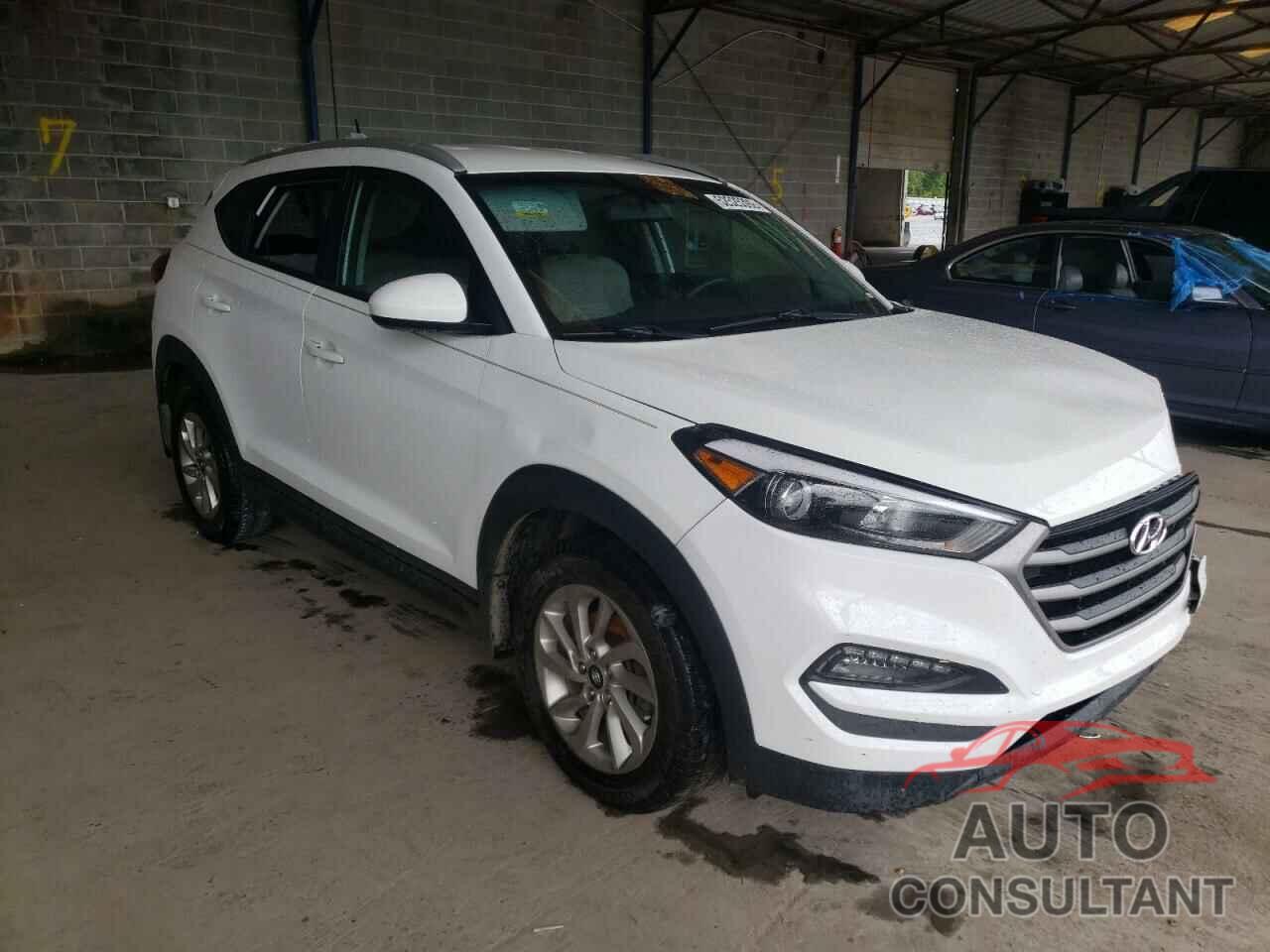 HYUNDAI TUCSON 2016 - KM8J33A43GU058696