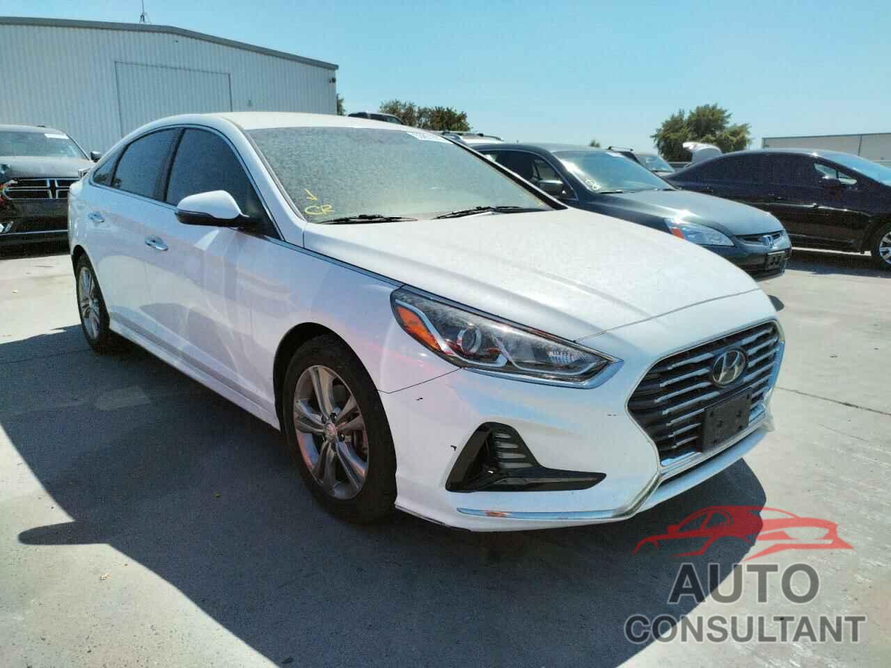 HYUNDAI SONATA 2018 - 5NPE34AF5JH646193