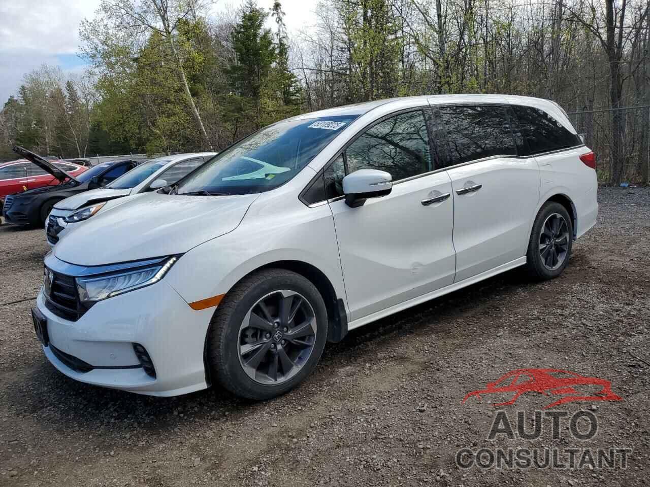 HONDA ODYSSEY 2022 - 5FNRL6H8XNB504608