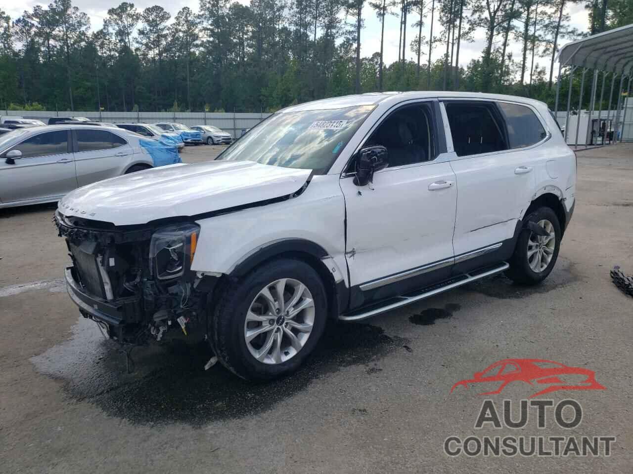 KIA TELLURIDE 2022 - 5XYP2DHC1NG296601