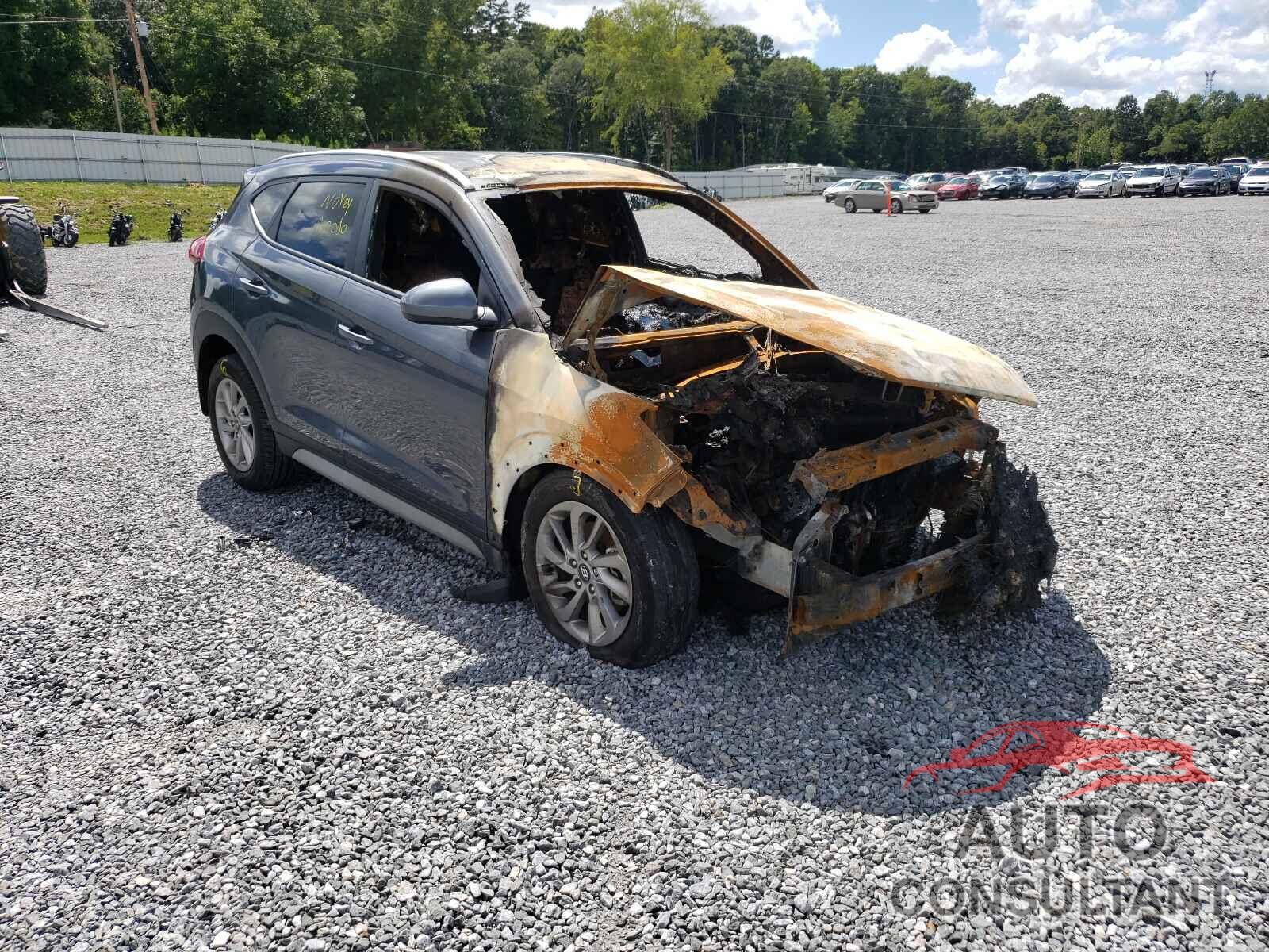 HYUNDAI TUCSON 2017 - KM8J33A47HU522221