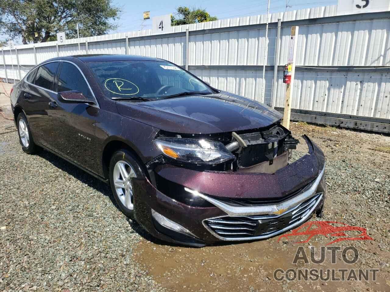 CHEVROLET MALIBU 2021 - 1G1ZC5ST8MF083112