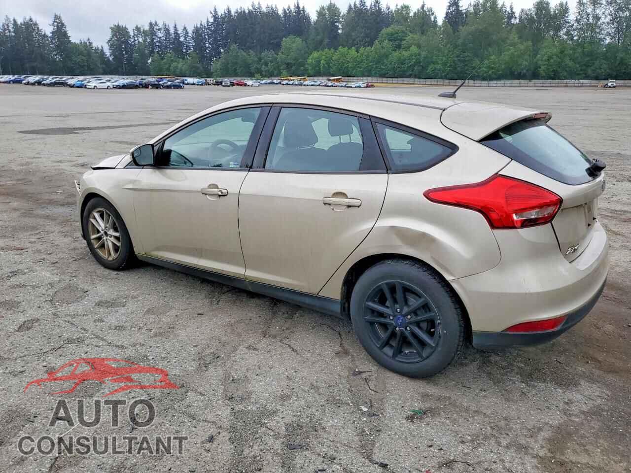 FORD FOCUS 2017 - 1FADP3K23HL285239