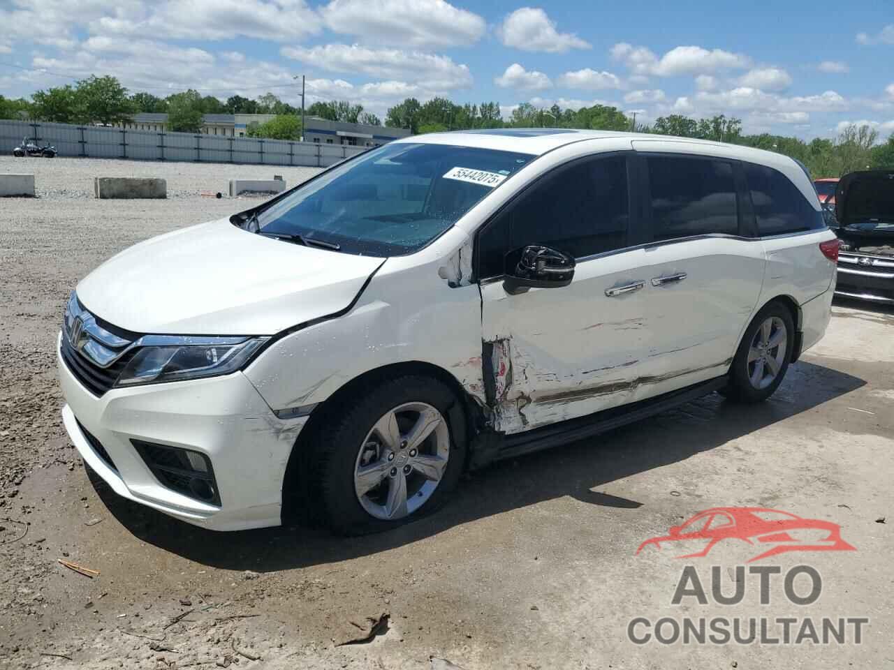 HONDA All Models 2019 - 5FNRL6H73KB118891