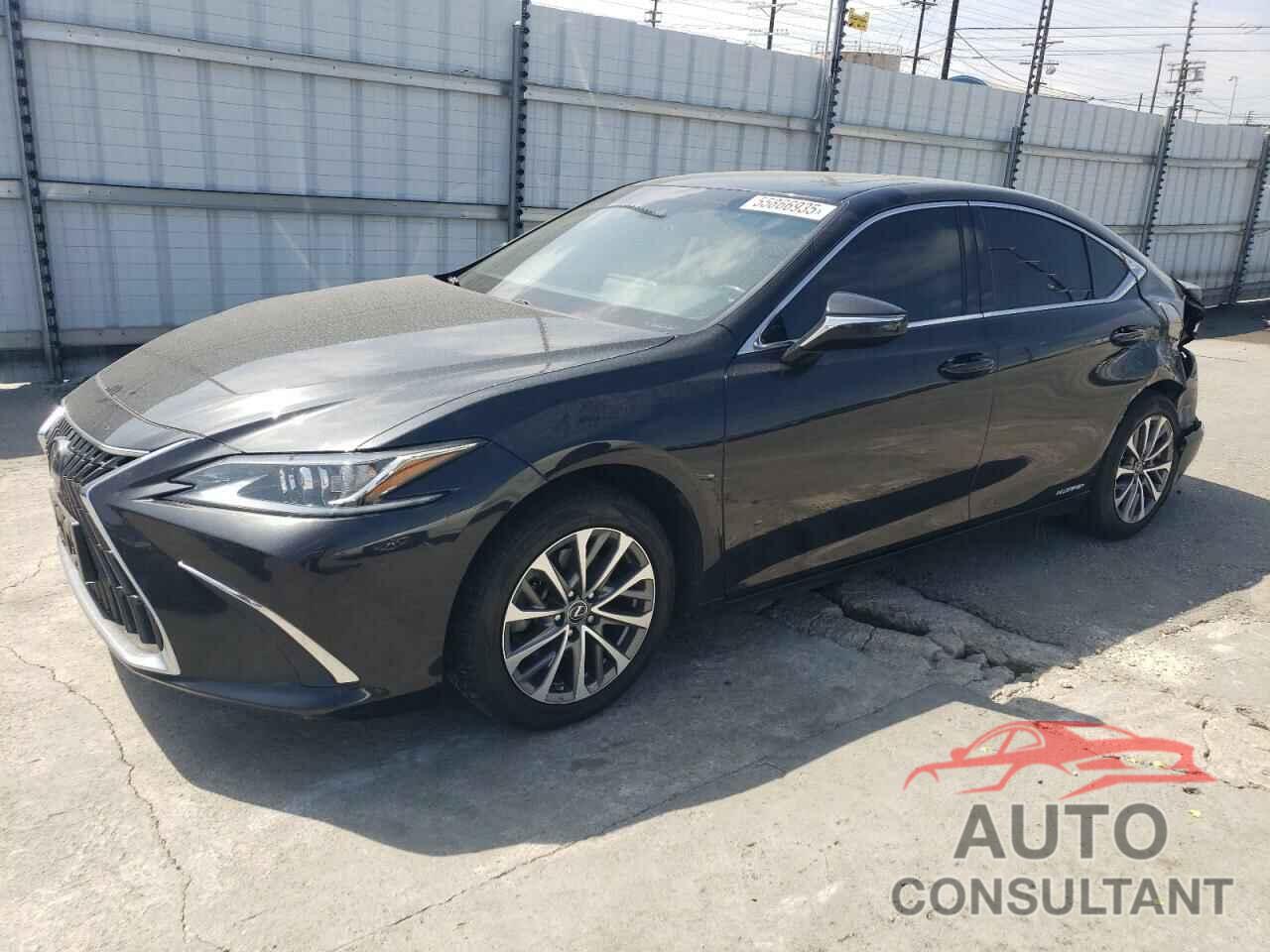 LEXUS ES300 2022 - 58ACA1C15NU020821