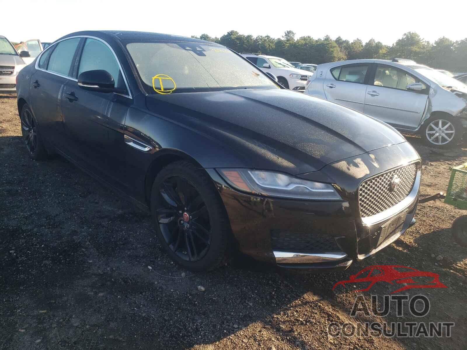 JAGUAR XF 2016 - SAJBK4BV5GCY16196