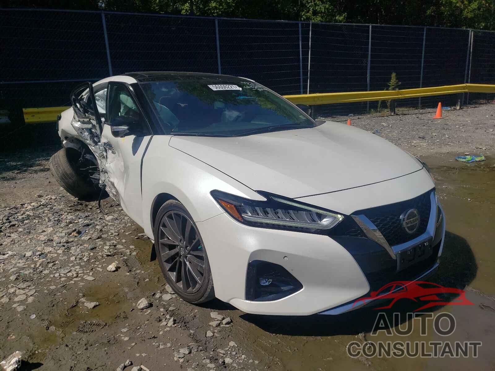 NISSAN MAXIMA 2019 - 1N4AA6AV2KC382716