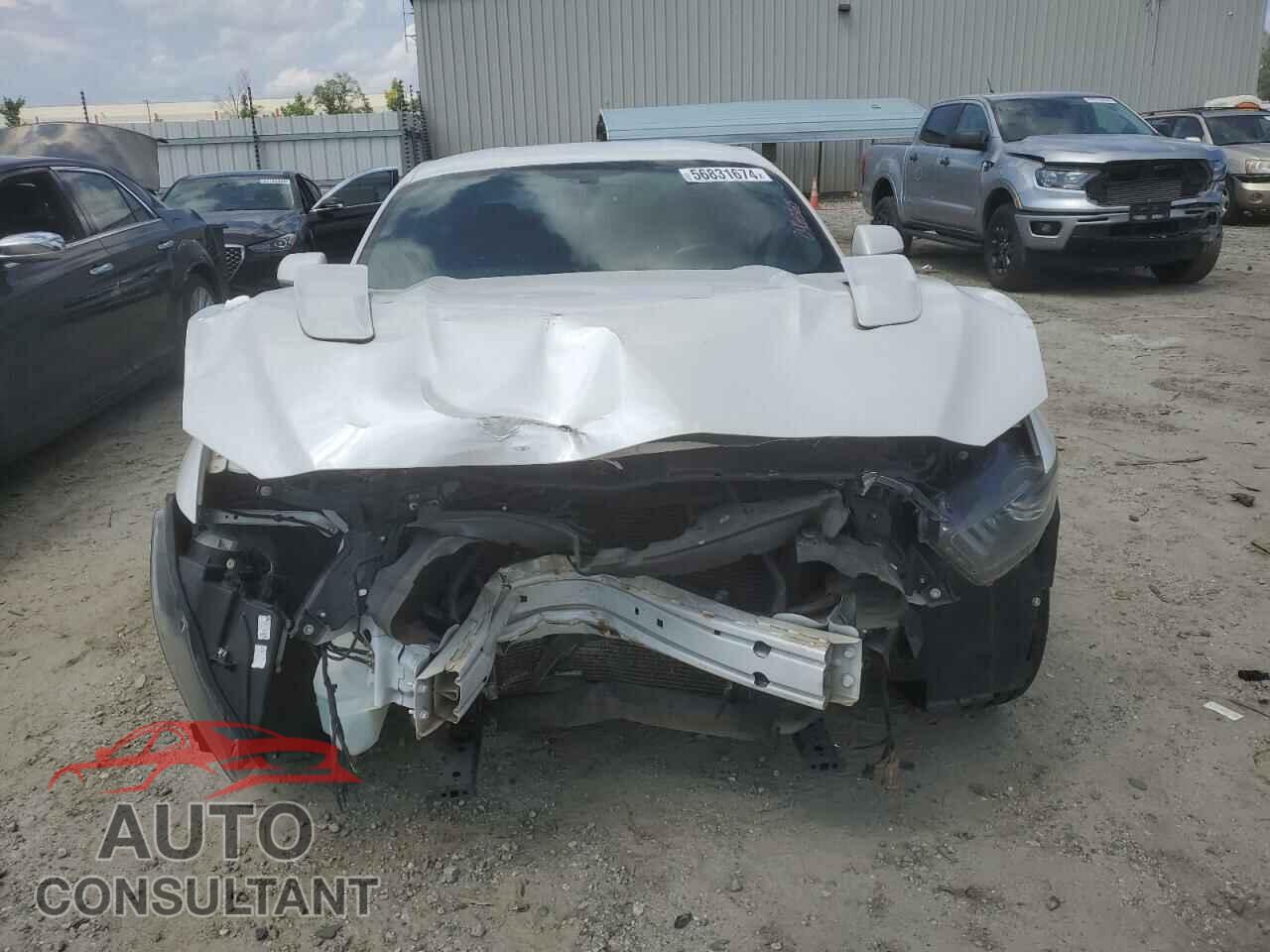 FORD MUSTANG 2017 - 1FA6P8CF3H5246565