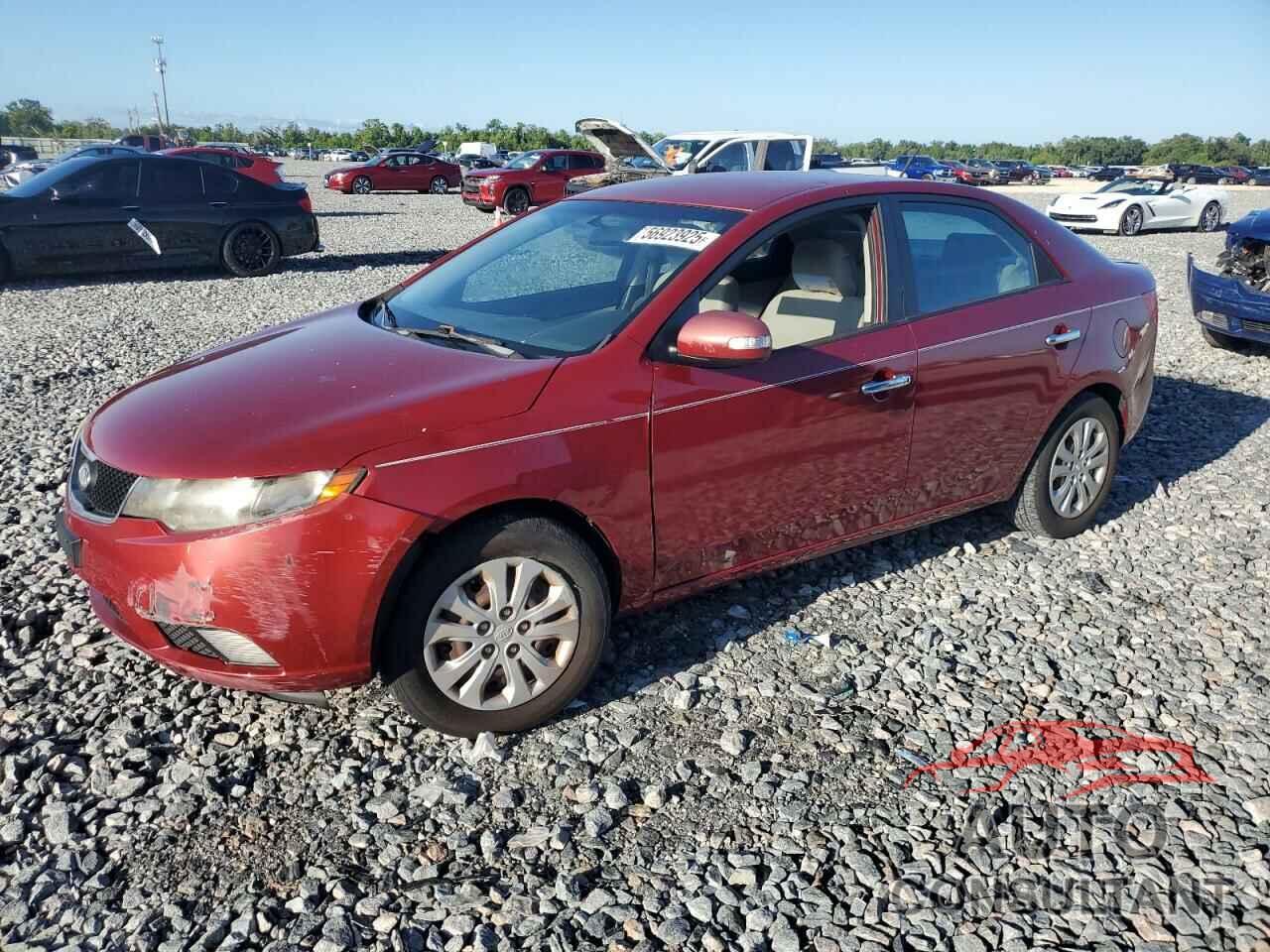 KIA FORTE 2010 - KNAFU4A21A5098107