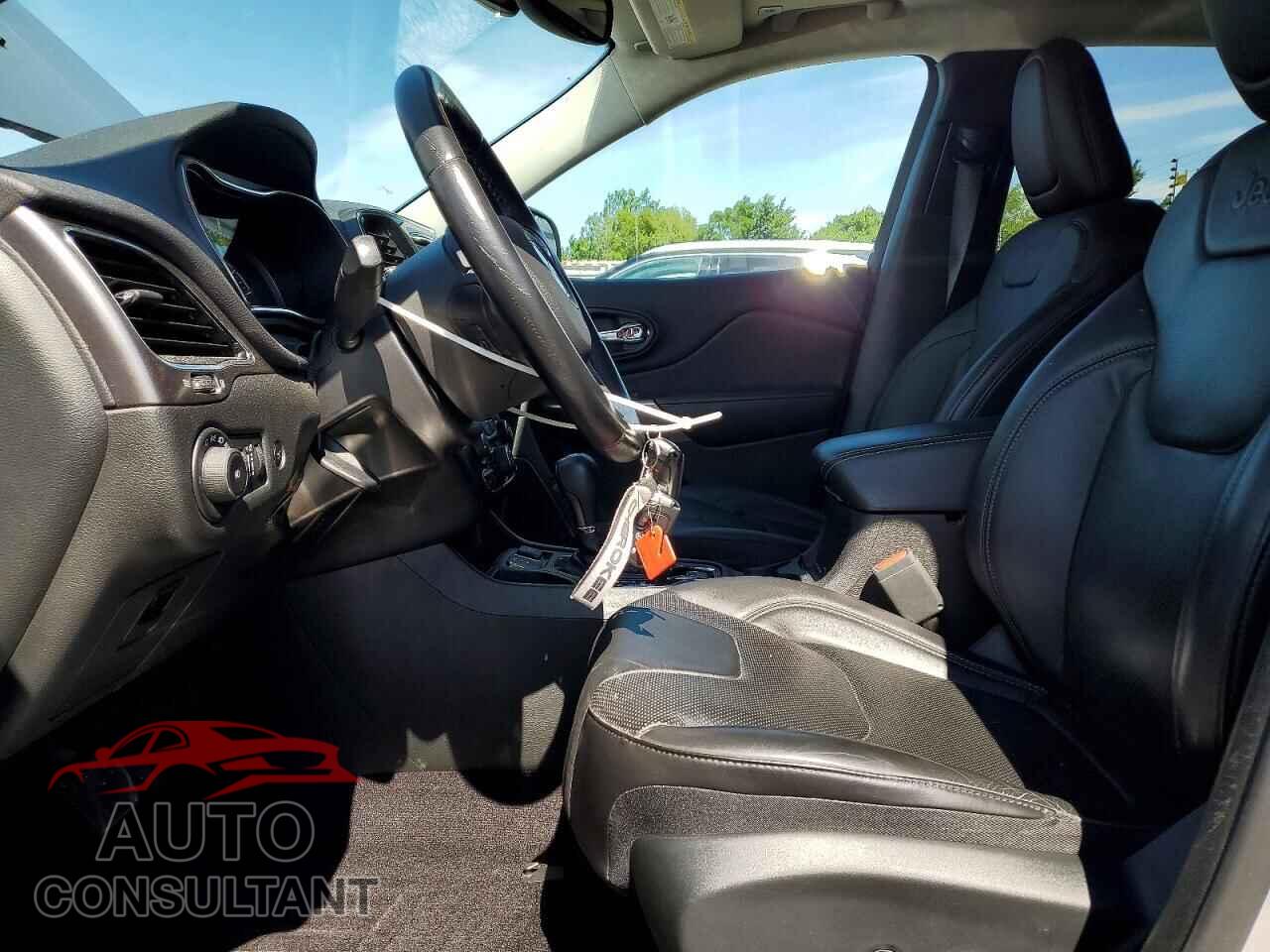 JEEP CHEROKEE 2019 - 1C4PJLDB1KD242218