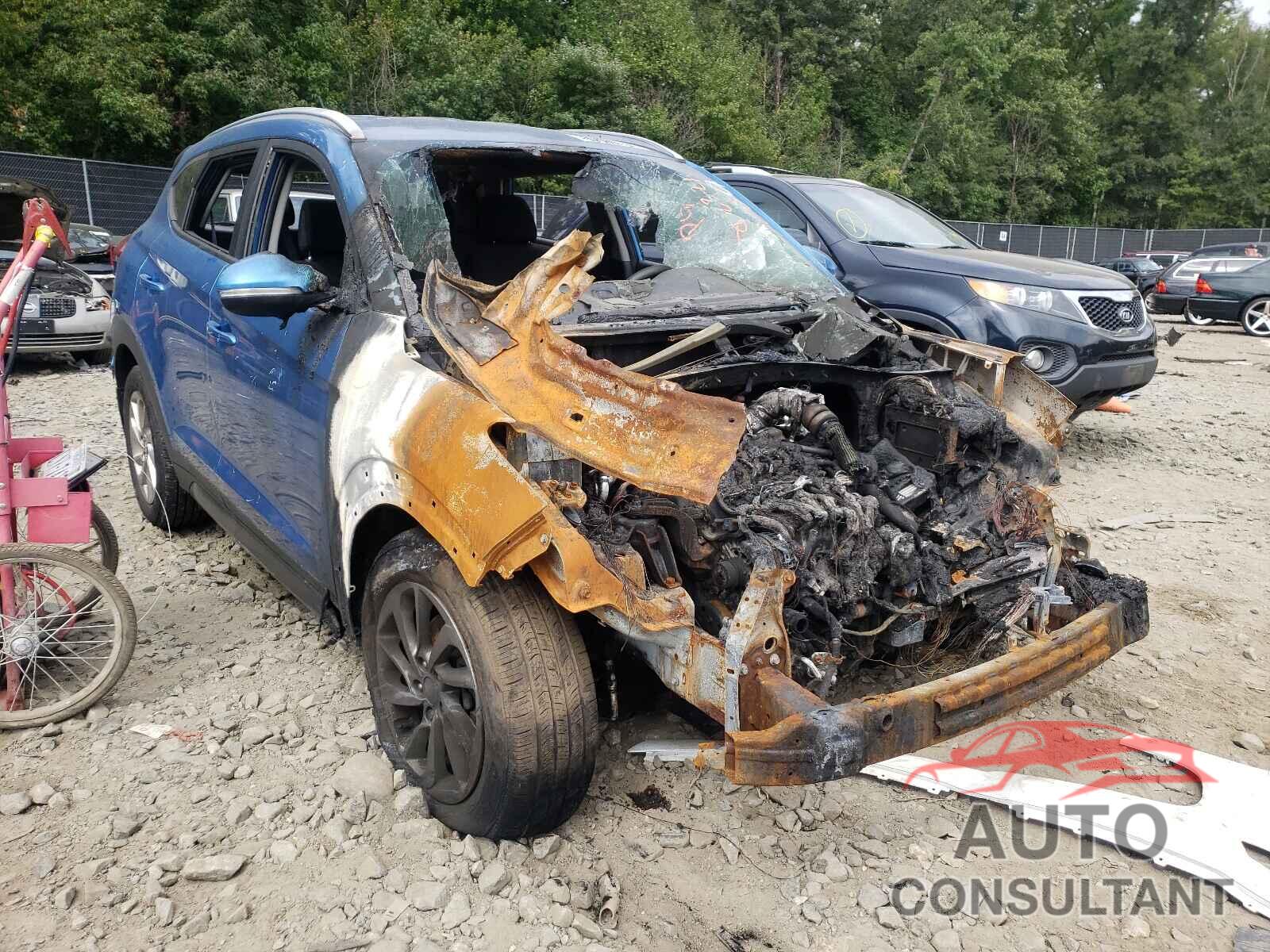 HYUNDAI TUCSON 2016 - KM8J33A2XGU179059