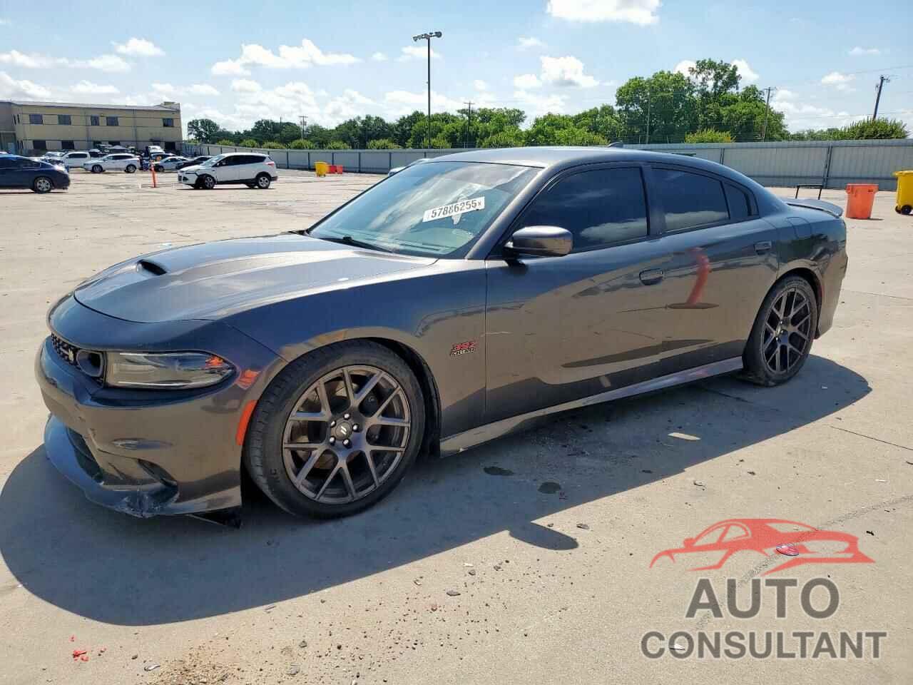DODGE CHARGER 2019 - 2C3CDXGJ2KH507817