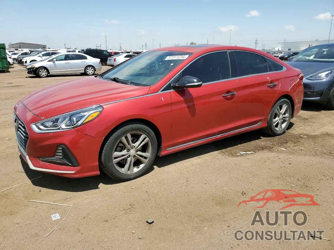 HYUNDAI SONATA 2018 - 5NPE34AF5JH639499