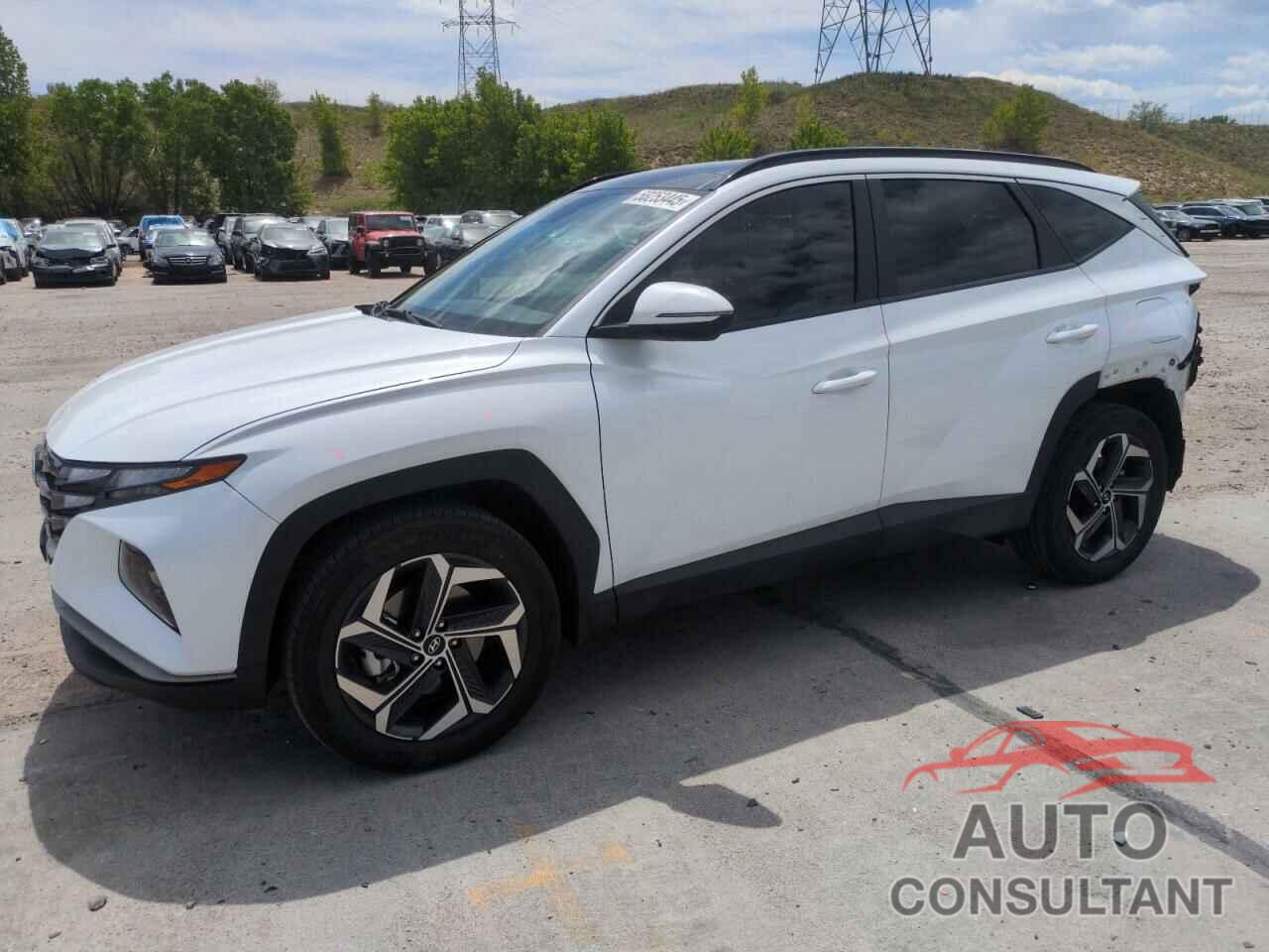 HYUNDAI TUCSON 2023 - KM8JFCA12PU092139