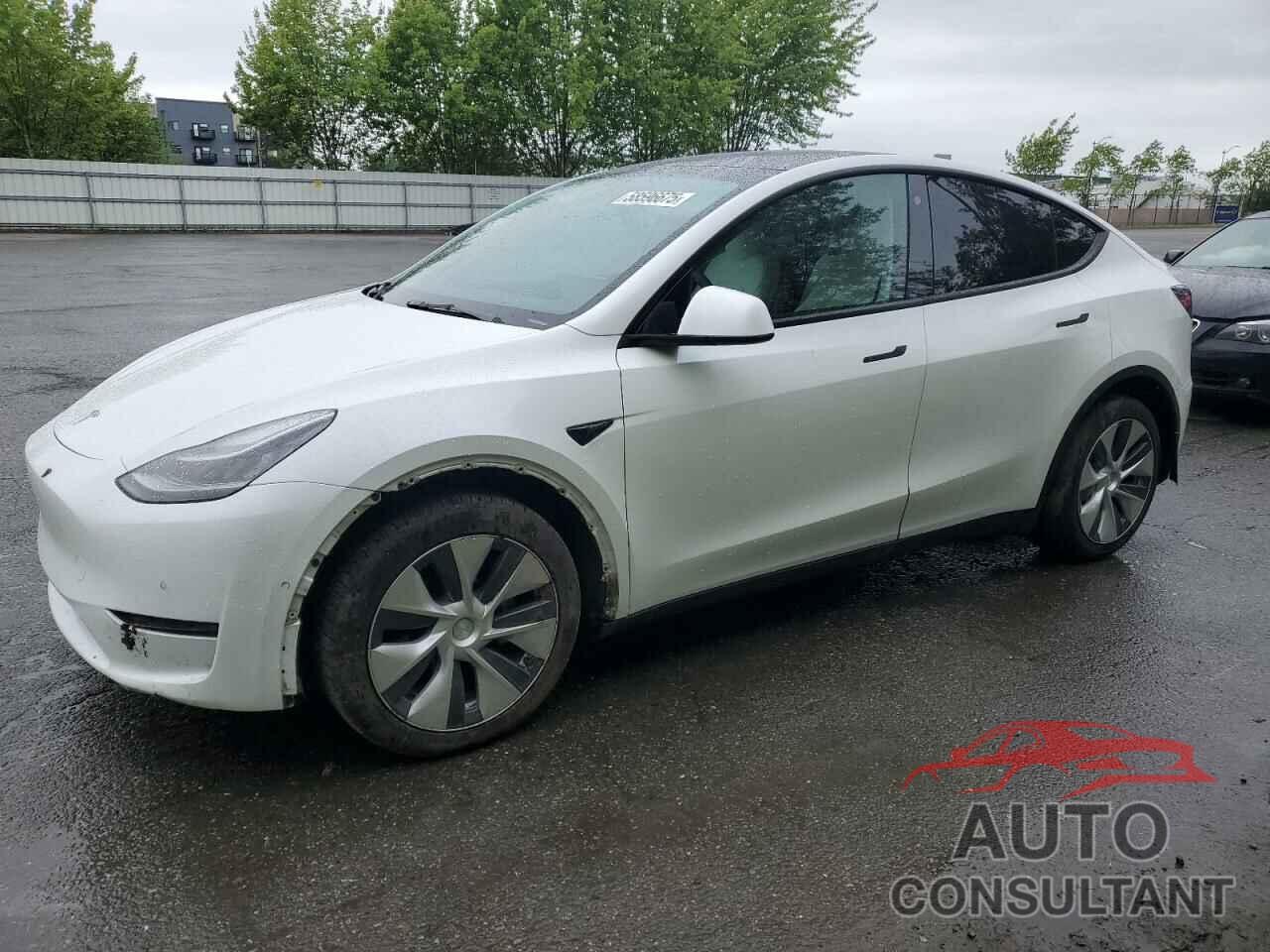 TESLA MODEL Y 2021 - 5YJYGDEE3MF206060