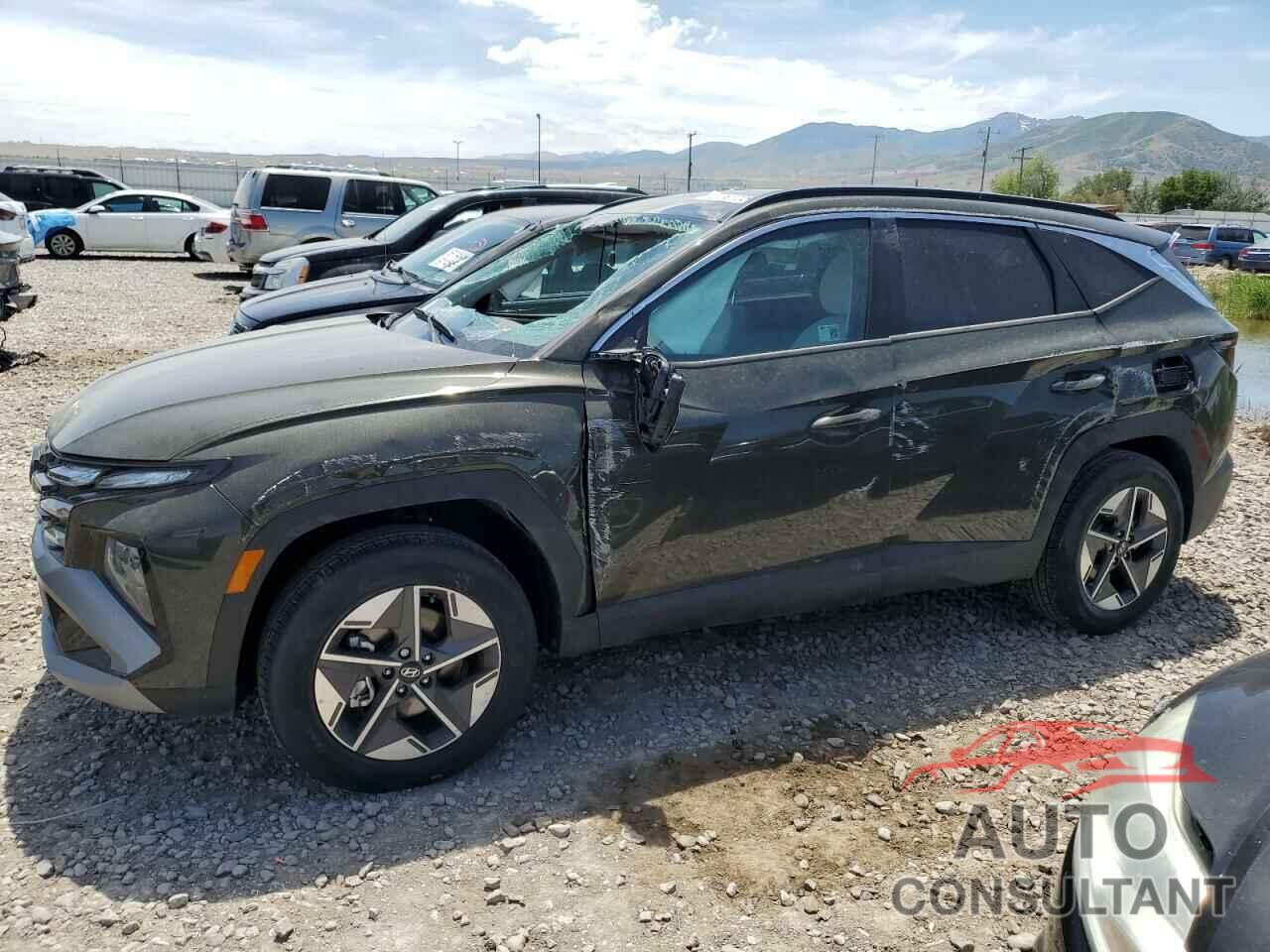 HYUNDAI TUCSON 2025 - 5NMJBCDEXSH504208