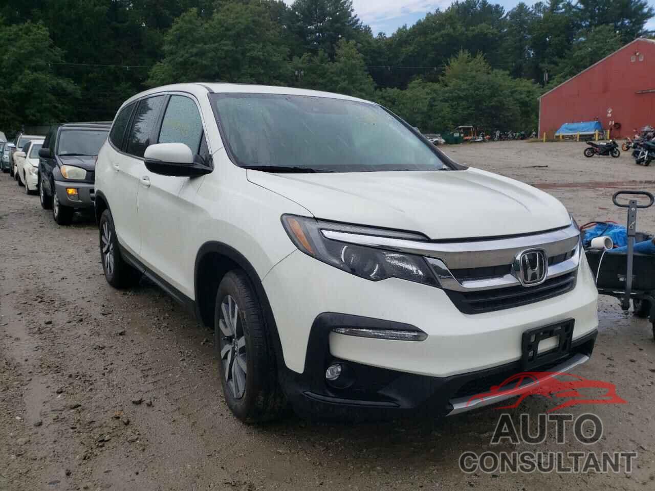 HONDA PILOT 2019 - 5FNYF6H5XKB067522