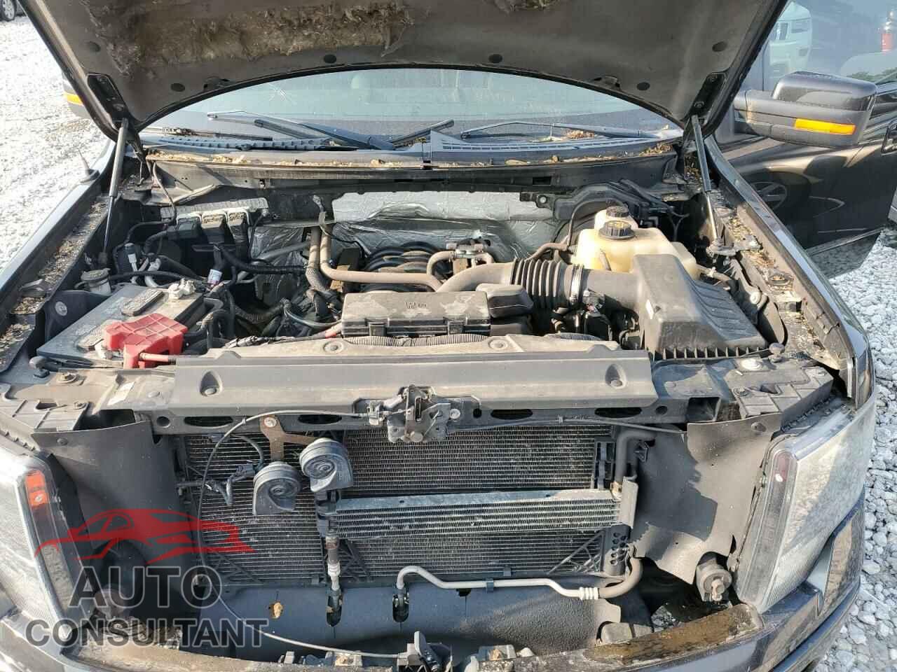 FORD F-150 2013 - 1FTFX1EF2DKD00576