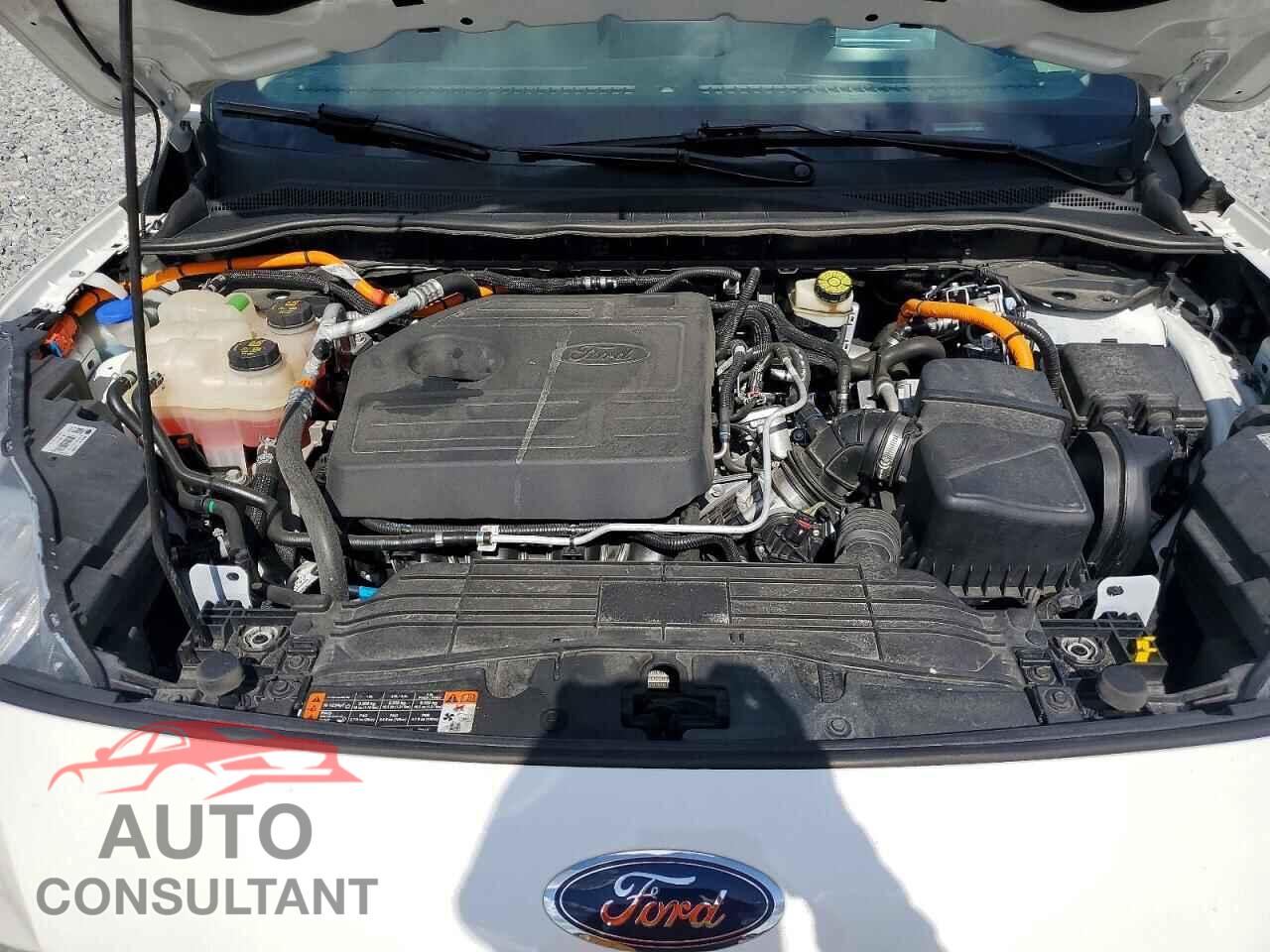 FORD ESCAPE 2020 - 1FMCU0DZ0LUA15763