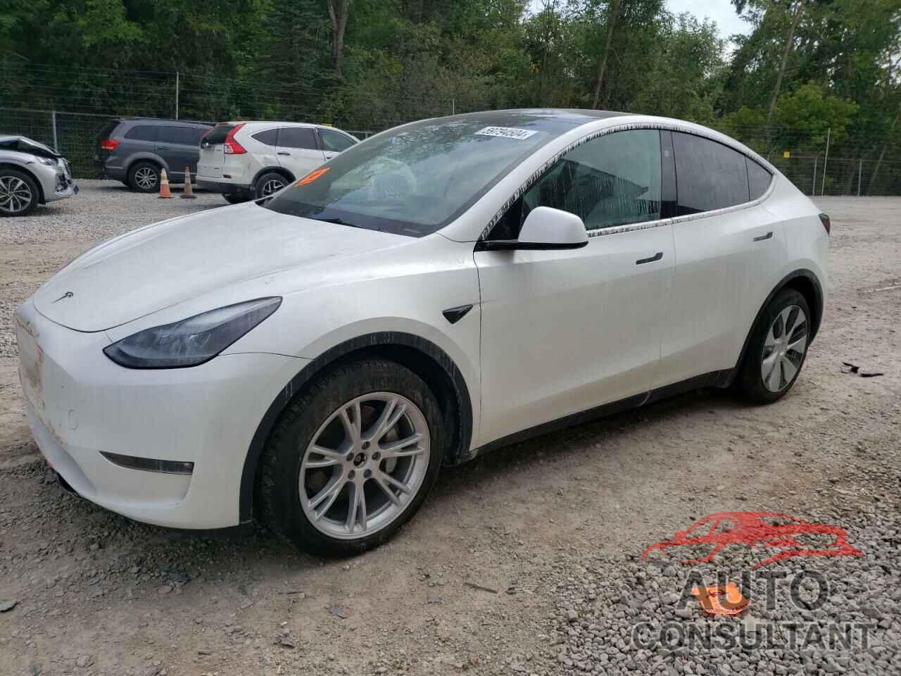 TESLA MODEL Y 2023 - 7SAYGDEE9PF869947