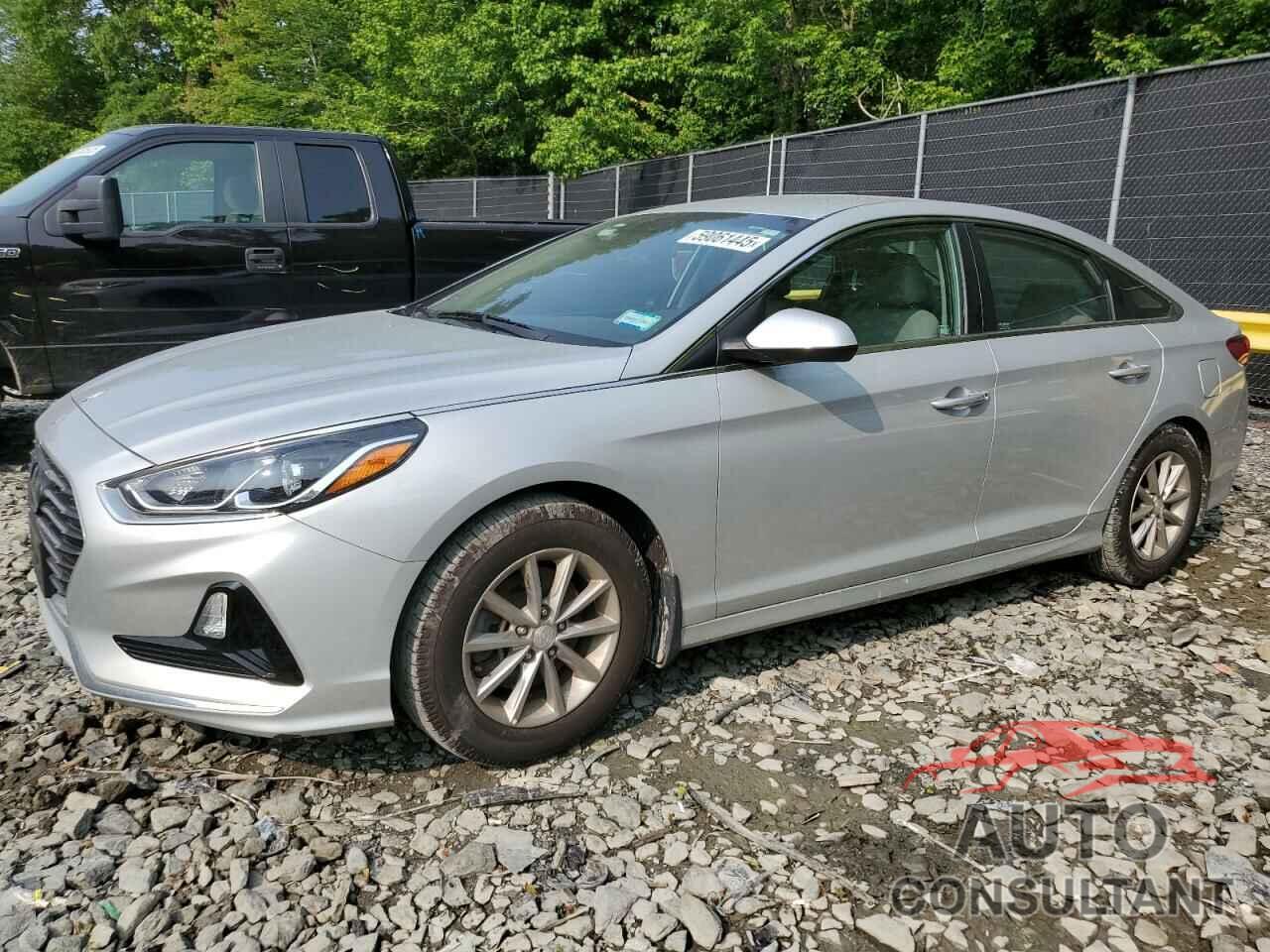 HYUNDAI SONATA 2019 - 5NPE24AF5KH796017