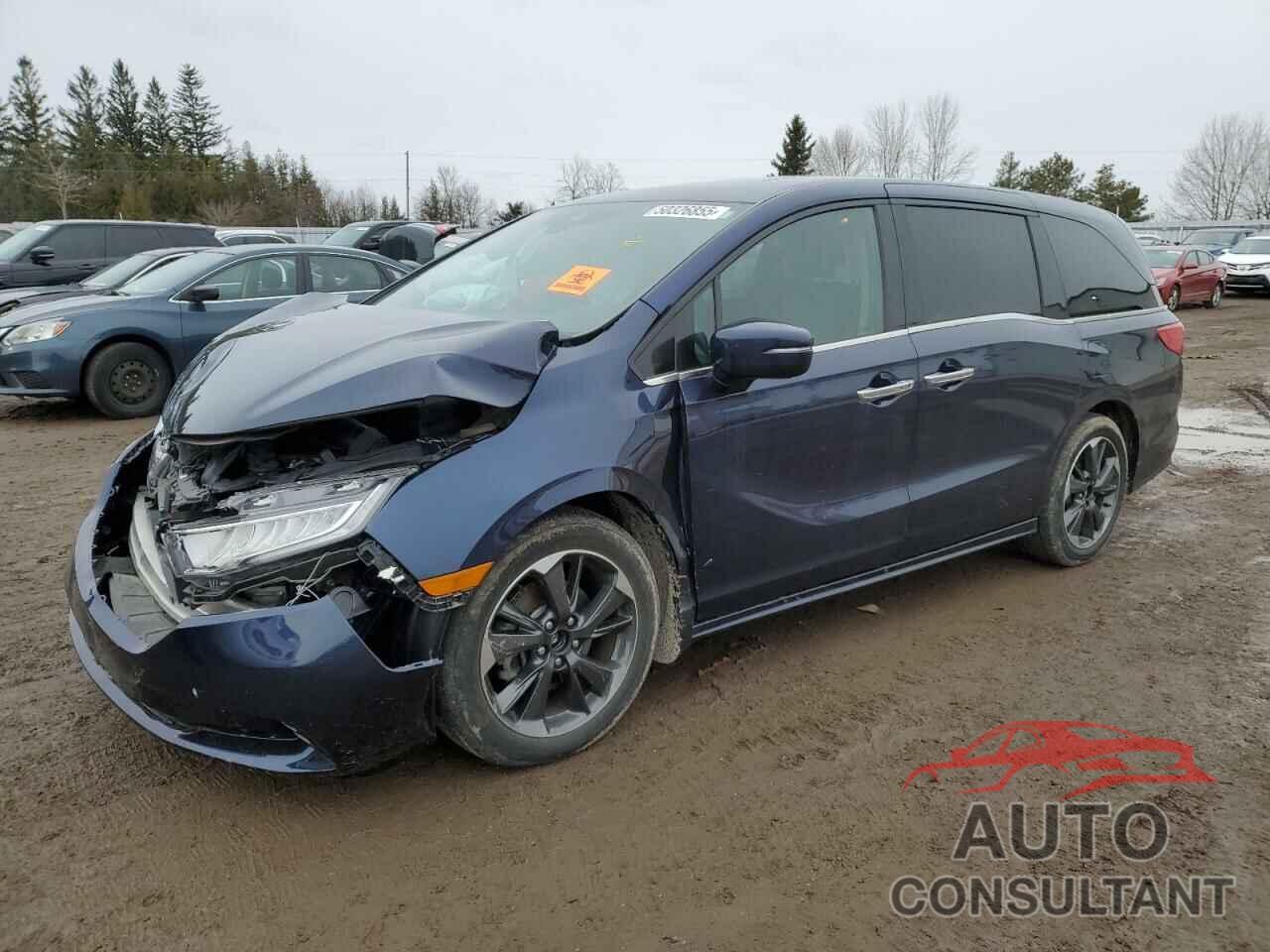 HONDA ODYSSEY 2022 - 5FNRL6H82NB502819
