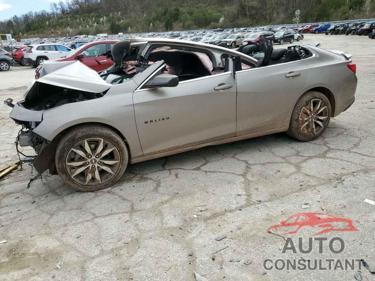 CHEVROLET MALIBU 2024 - 1G1ZG5ST4RF190346