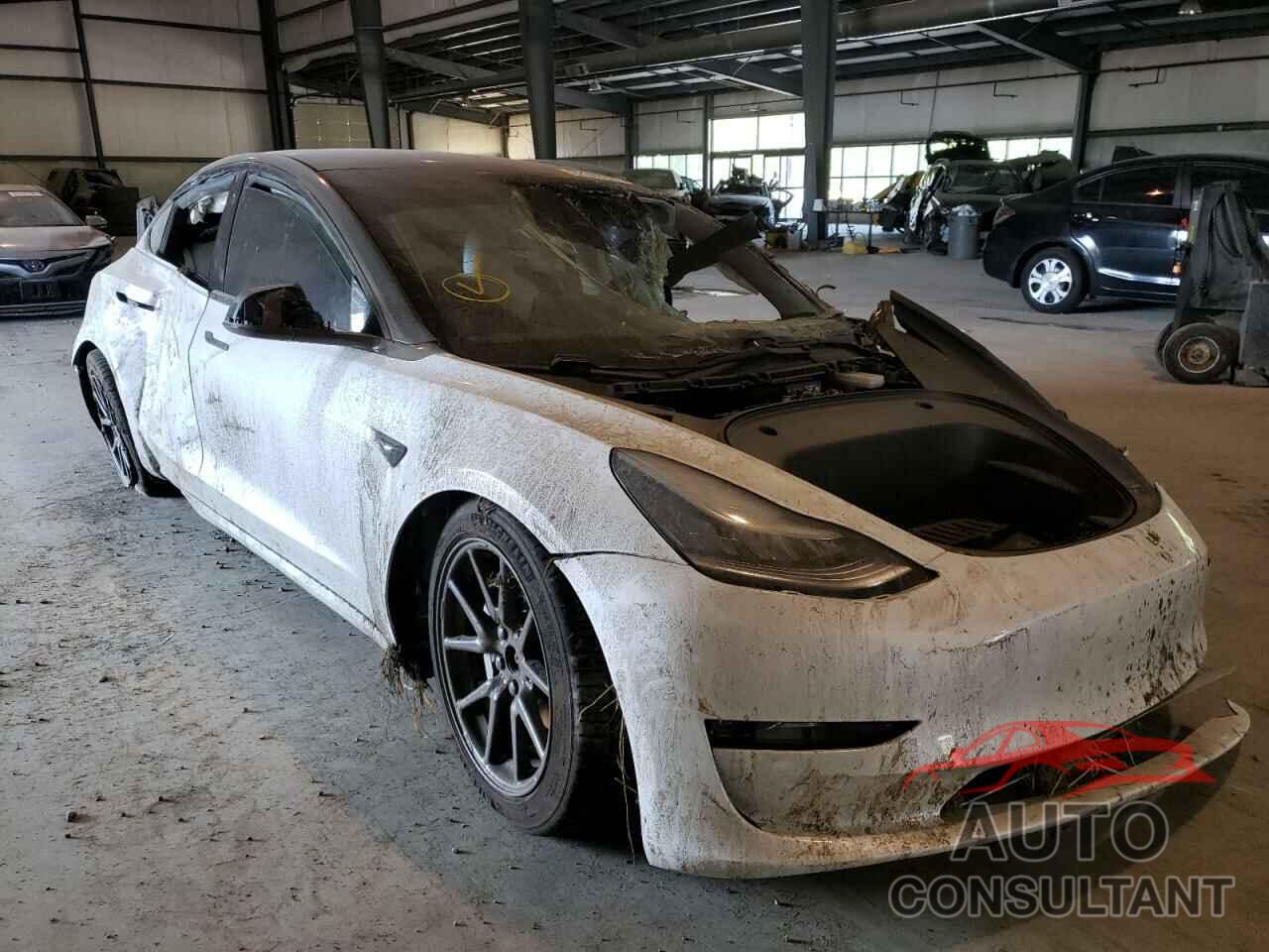 TESLA MODEL 3 2020 - 5YJ3E1EB7LF806695