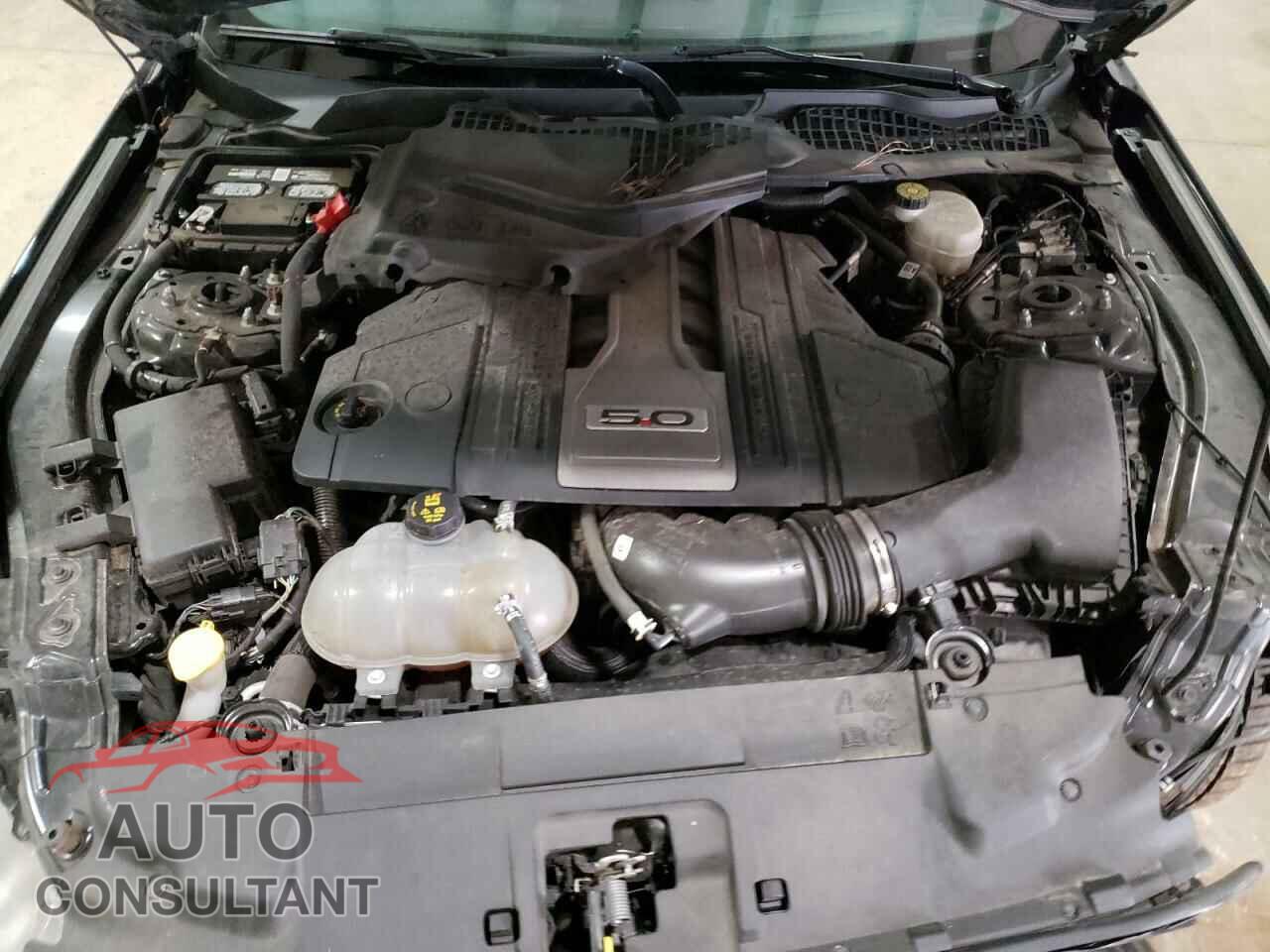 FORD MUSTANG 2019 - 1FA6P8CF7K5168654