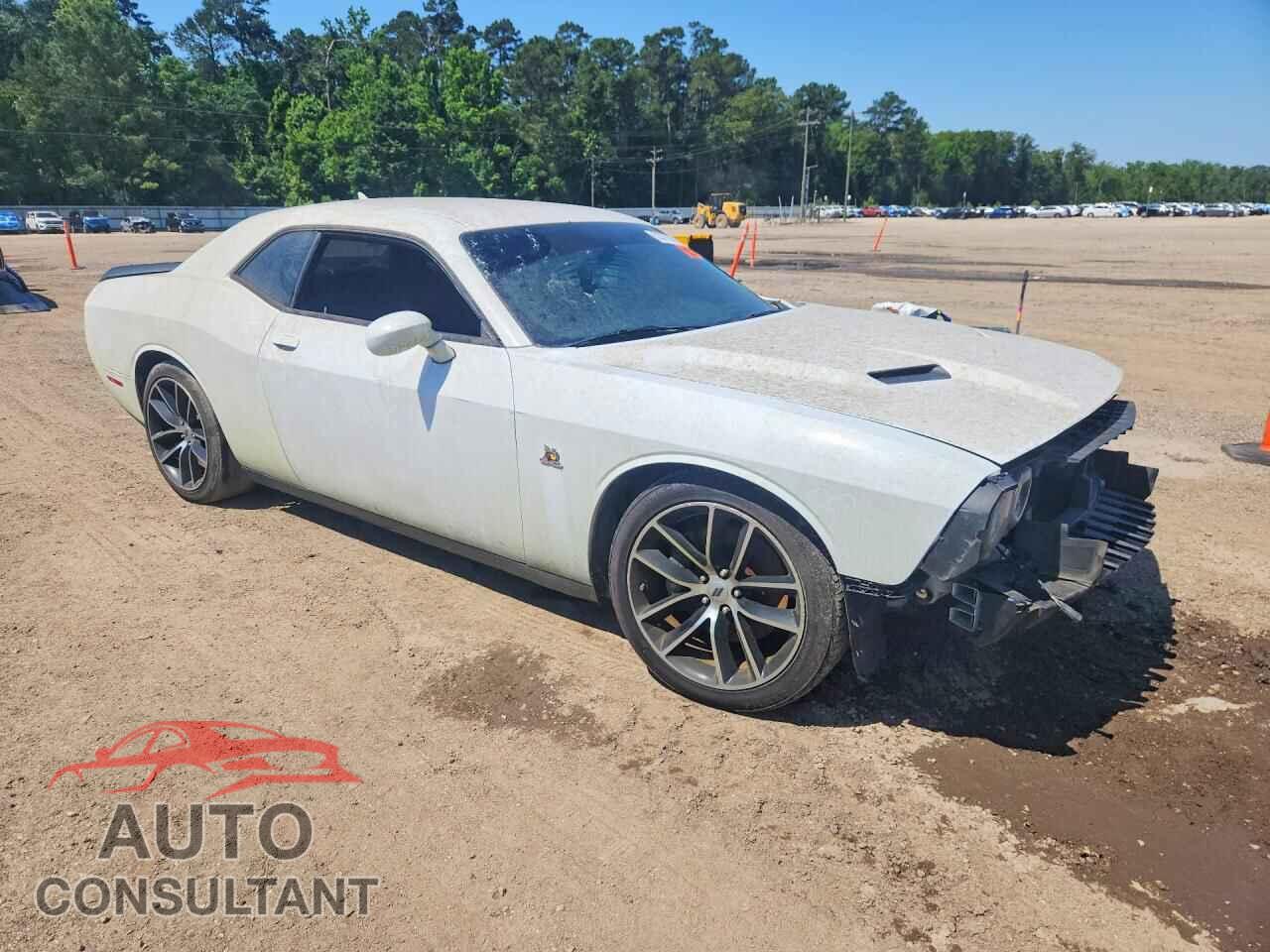 DODGE CHALLENGER 2017 - 2C3CDZFJ1HH501948