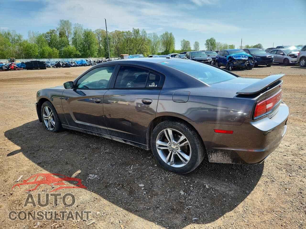 DODGE CHARGER 2014 - 2C3CDXDT0EH178447