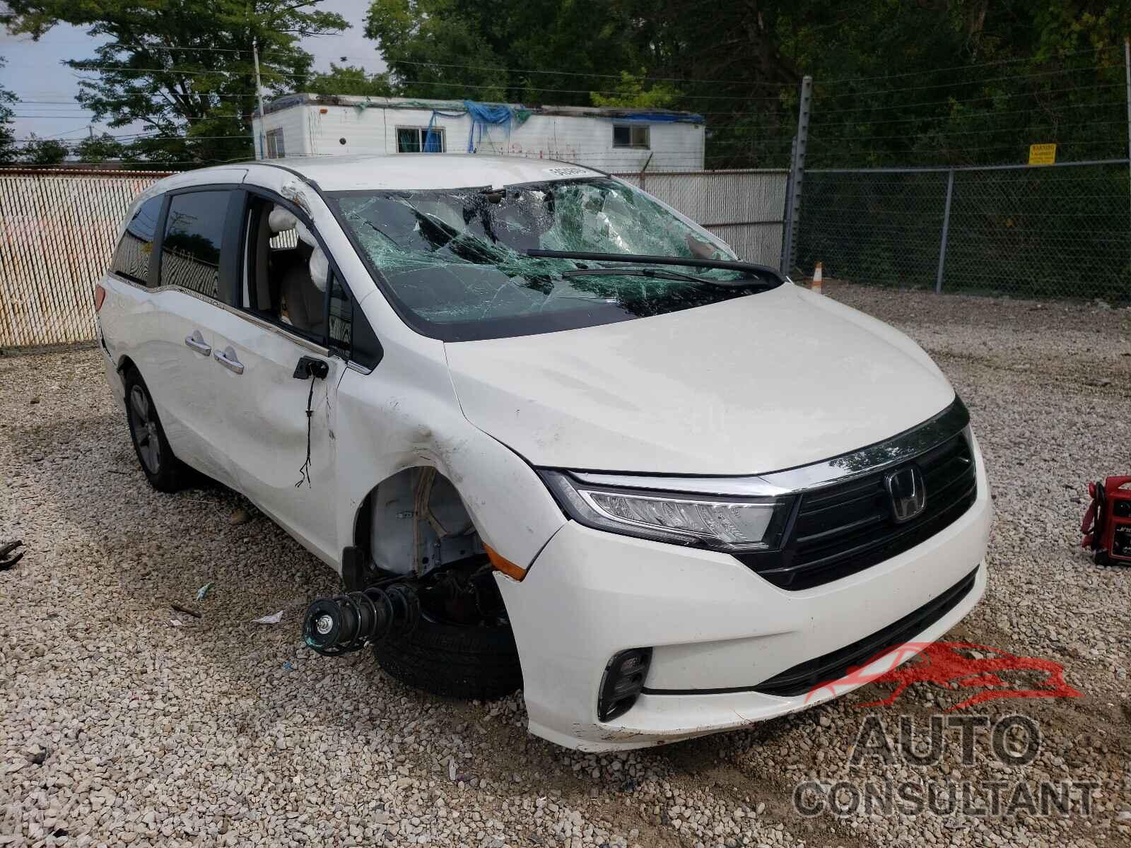 HONDA ODYSSEY 2021 - 5FNRL6H51MB038720