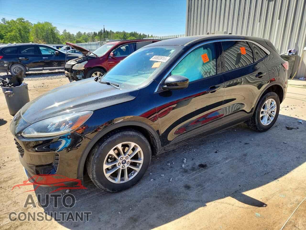 FORD ESCAPE 2020 - 1FMCU9G69LUA26315