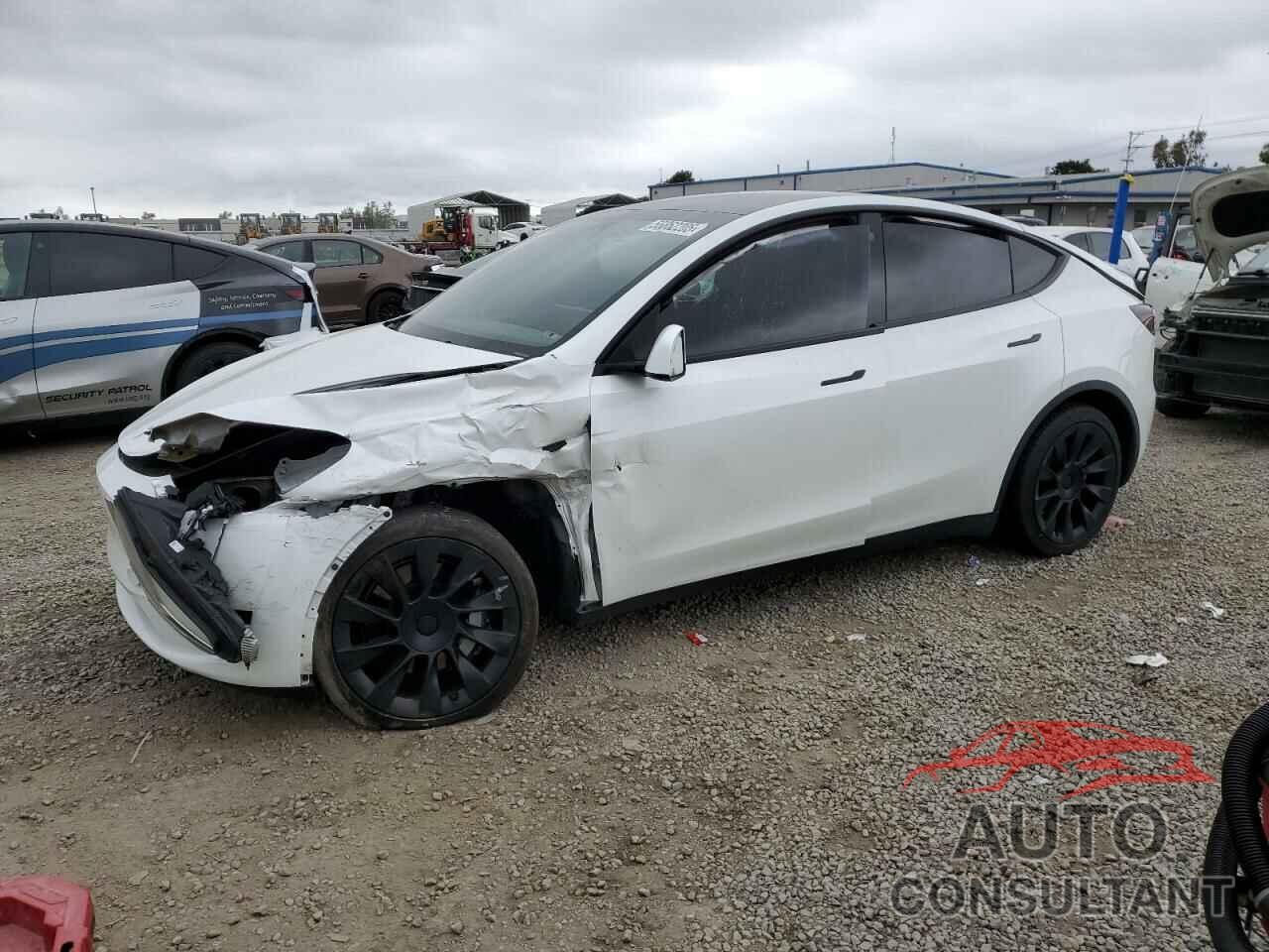 TESLA MODEL Y 2021 - 5YJYGDEE9MF215202